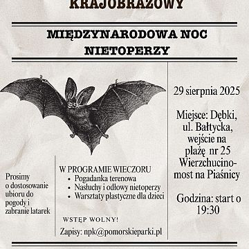 Noc nietoperzowa Grafika Noc nietoperzowa