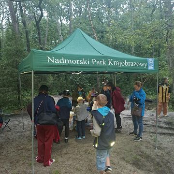 Międzynarodowa Noc Nietoperzy za nami - fotorelacja Grafika Międzynarodowa Noc Nietoperzy za nami - fotorelacja