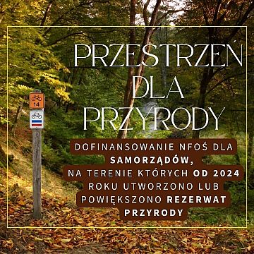 Korzyści finansowe dla samorządów, na terenie których od 2024 powstały lub powiększyły się rezerwaty przyrody Grafika Korzyści finansowe dla samorządów, na terenie których od 2024 powstały lub powiększyły się rezerwaty przyrody